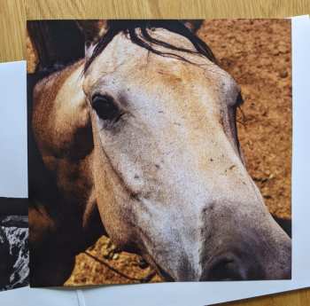 2LP Bad History Month: God Is Luck CLR