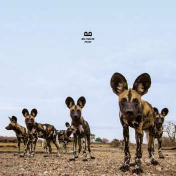 Album Balthazar: Fever