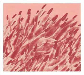 2CD/Zestaw pudełkowy/Blu-ray Band-Maid: Unseen World LTD