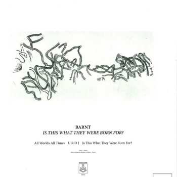 LP Barnt: Is This What They Were Born For?