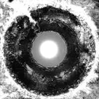 LP The Bastards Of Fate: Suck The Light Out