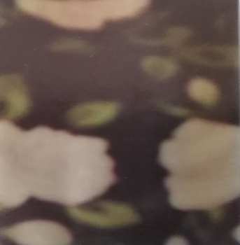 CD Franco Battiato: Fleurs (Esempi Affini Di Scritture E Simili)