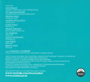 CD Pit Baumgartner: Low Sky Sketches