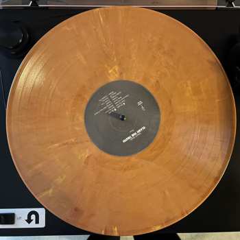 LP Beach Fossils: Clash The Truth LTD | CLR