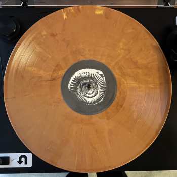 LP Beach Fossils: Clash The Truth LTD | CLR