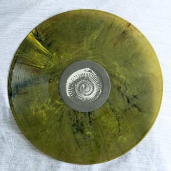 LP Beach Fossils: Clash The Truth LTD | CLR