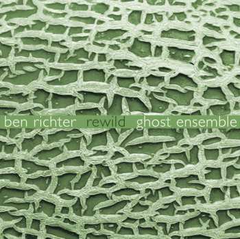 Album Ben Richter: Rewild