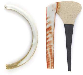 Album Ben Vida: Damaged Particulates