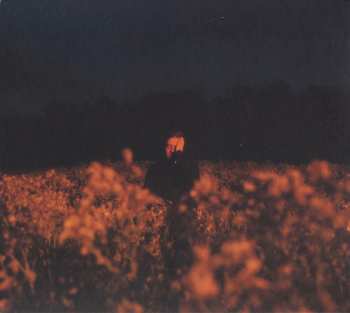 CD Benjamin Francis Leftwich: Some Things Break