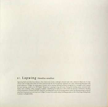 LP Bert Jansch: Avocet LTD