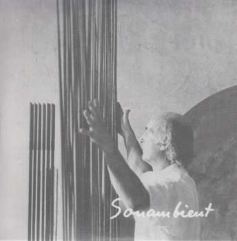 11CD/Zestaw pudełkowy Harry Bertoia: Sonambient (Complete Collection) DLX