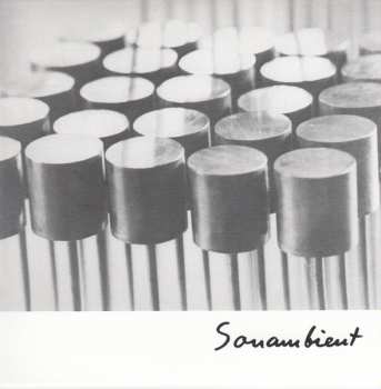 11CD/Zestaw pudełkowy Harry Bertoia: Sonambient (Complete Collection) DLX