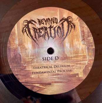 2LP Beyond Creation: Earthborn Evolution LTD