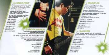 CD Beyond Description: The Robotized World