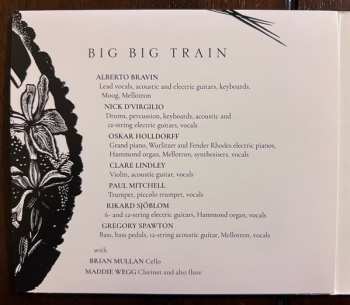 CD/Blu-ray Big Big Train: Woodcut DLX | LTD | DIGI