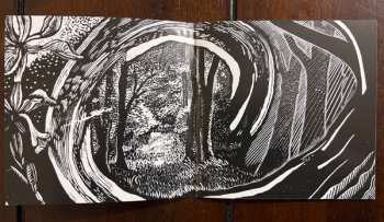 CD/Blu-ray Big Big Train: Woodcut DLX | LTD | DIGI