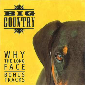4CD/Zestaw pudełkowy Big Country: Why The Long Face DLX