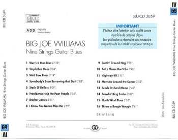 CD Big Joe Williams: Nine Strings Guitar Blues