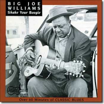 Album Big Joe Williams: Shake Your Boogie