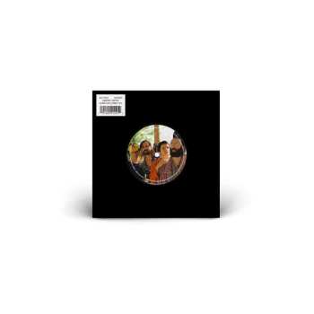 Album Big Thief: Vampire Empire / Born For Loving You