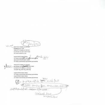 LP Bilderbuch: Mea Culpa