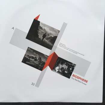 LP Biosphere: The Petrified Forest