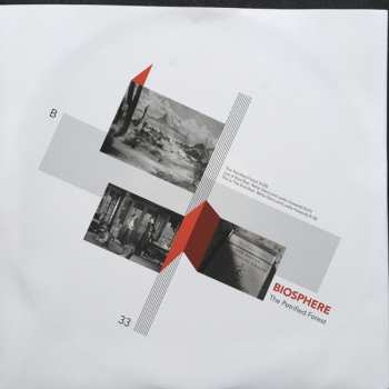 LP Biosphere: The Petrified Forest