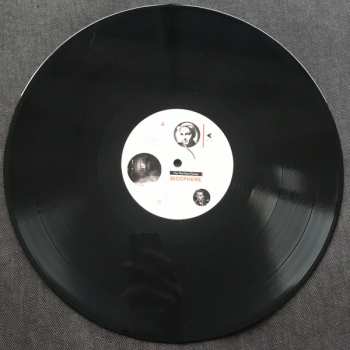 LP Biosphere: The Petrified Forest