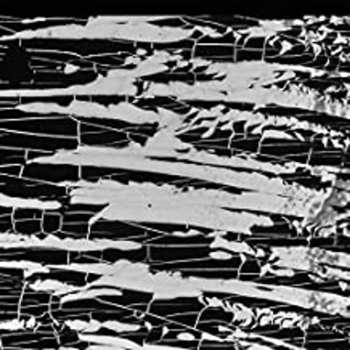 Album BJNilsen: Irreal