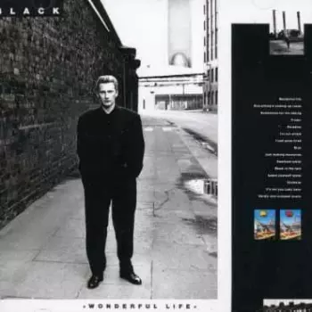 Black: Wonderful Life