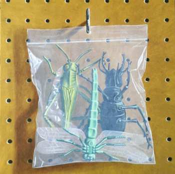 4LP/Zestaw pudełkowy Black Country, New Road: Ants From Up There DLX | LTD