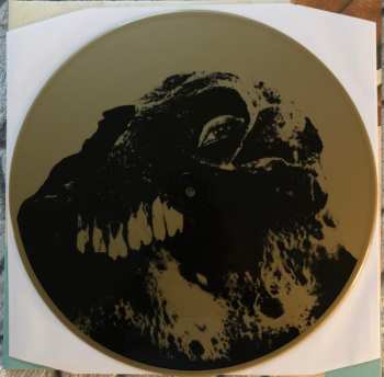 2LP Black Moth Super Rainbow: Panic Blooms LTD | CLR