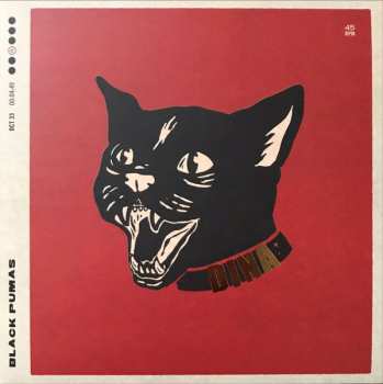 6SP/Zestaw pudełkowy Black Pumas: Black Pumas LTD