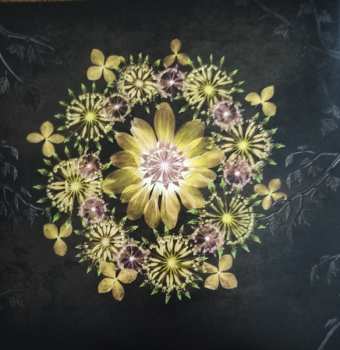 2LP/DVD/SP Blackmore's Night: Shadow Of The Moon CLR | LTD