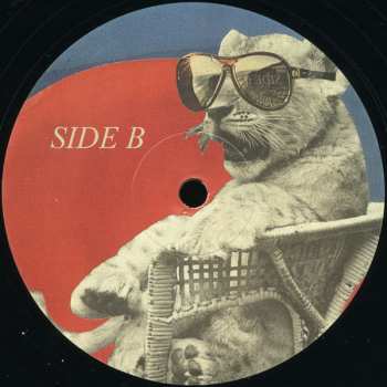 LP Blake Mills: Blake Mills DLX