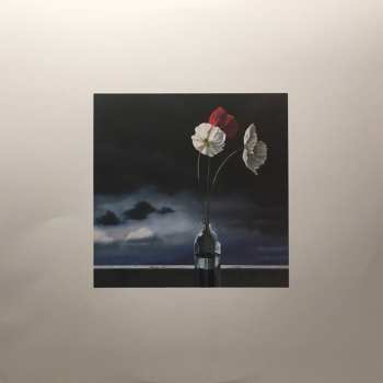 LP Blake Mills: Look