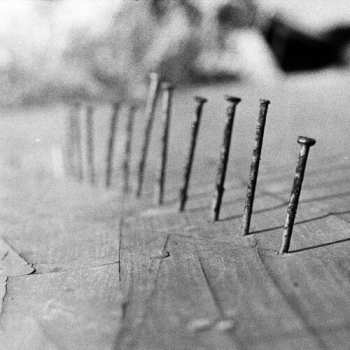 Album Blind Seagull: Nails