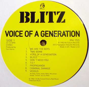 LP Blitz: Voice Of A Generation