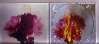 CD Bloody Knives: I Will Cut Your Heart Out For This