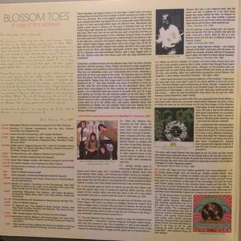 2LP Blossom Toes: If Only For A Moment