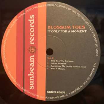 2LP Blossom Toes: If Only For A Moment