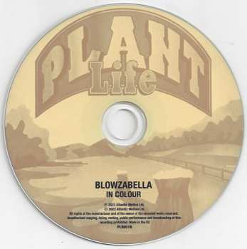 CD Blowzabella: In Colour