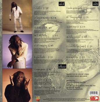 LP Bob Andy: Hanging Tough