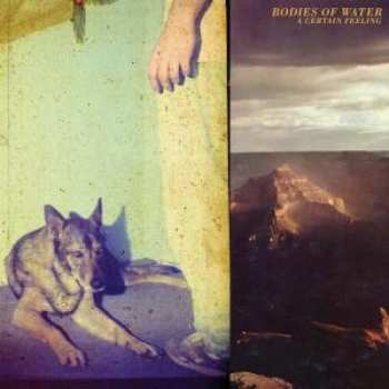 Album Bodies Of Water: A Certain Feeling