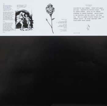 LP Bonnie "Prince" Billy: I See A Darkness