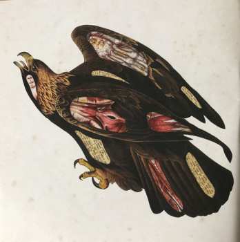 CD Clutch: Book Of Bad Decisions DIGI