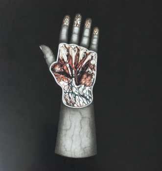 CD Clutch: Book Of Bad Decisions DIGI