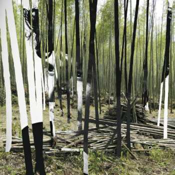 Album Bosco Delrey: The Green Tiger's Alibi