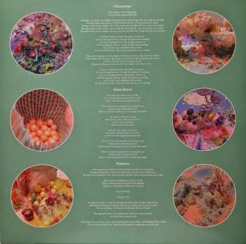 LP Boss Keloid: Melted On The Inch CLR