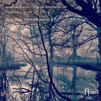 CD Boud,nicola: Brahms: Clarinet Sons Op. 120 & 3 Intermezzi Op. 1